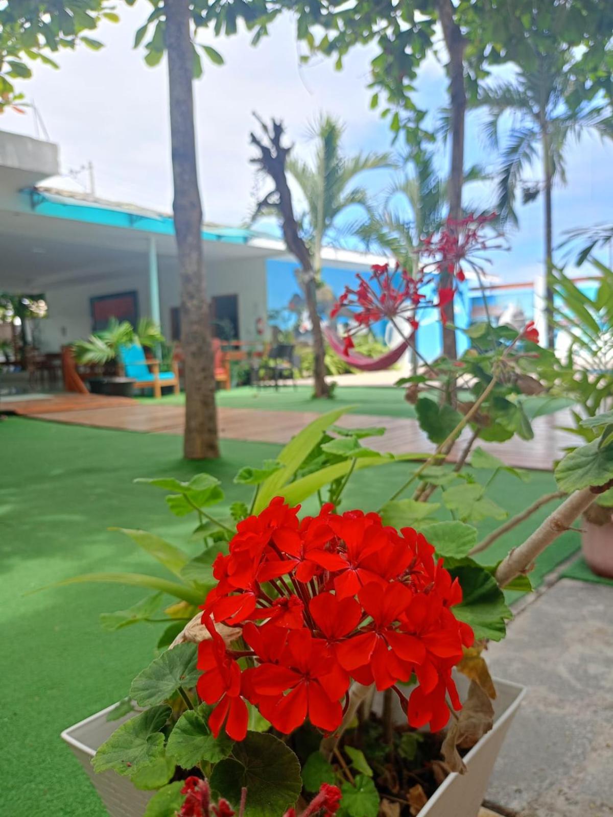 Galapagos Isabela Hotel Loja Puerto Villamil Bagian luar foto